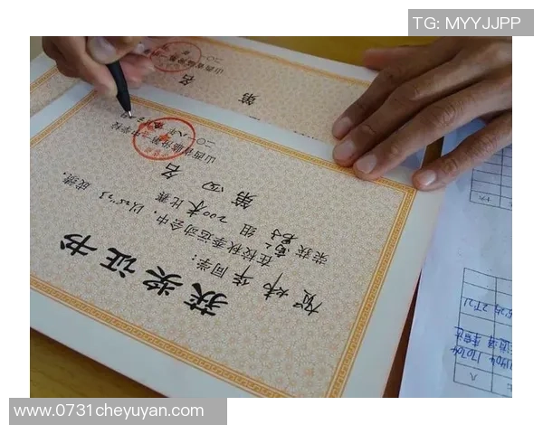 深圳排球队的拼搏之路：一段关于汗水与梦想的真实纪实