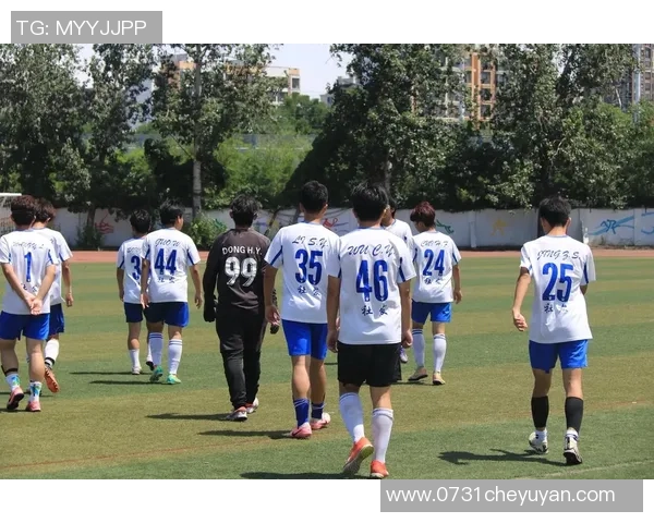 深圳足球队的拼搏之路：一段不屈不挠的奋斗纪实与荣耀回顾